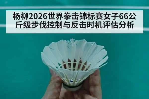 杨柳2026世界拳击锦标赛女子66公斤级步伐控制与反击时机评估分析